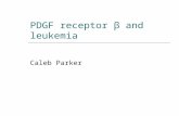 PDGF receptor β and leukemia Caleb Parker. Overview  What is PDGFRB?  What role does PDGFRB play in the cell?  What is CMML?  What is Tel/PDGFRB?