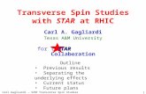 Carl Gagliardi – STAR Transverse Spin Studies – DIS‘06 1 Transverse Spin Studies with STAR at RHIC Carl A. Gagliardi Texas A&M University for the Collaboration