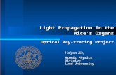 Light Propagation in the Mice’s Organs Optical Ray-tracing Project Haiyan Xie, Atomic Physics Division Lund University.