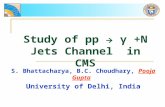 Study of pp  γ +N Jets Channel in CMS S. Bhattacharya, B.C. Choudhary, Pooja Gupta University of Delhi, India.