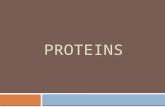 PROTEINS. proteins ï‚¨ Proteins are polymers composed of sub-units called amino acids that are linked by peptide (amide) bond