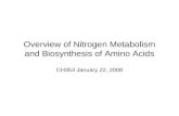 Overview of Nitrogen Metabolism and Biosynthesis of Amino Acids CH353 January 22, 2008.