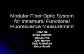 Modular Fiber Optic System for Intramural Functional Fluorescence Measurement Dean Tai Bryan Caldwell Ian LeGrice John Harvey Sally Rutherford Bruce Smaill.