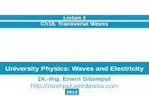 University Physics: Waves and Electricity Ch16. Transverse Waves Lecture 3 Dr.-Ing. Erwin Sitompul  2013.