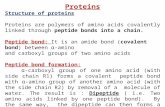 Proteins Structure of proteins Proteins are polymers of amino acids covalently linked through peptide bonds into a chain. Peptide bond: It is an amide.