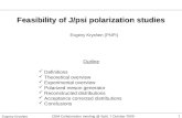 Evgeny Kryshen (PNPI) Feasibility of J/psi polarization studies Outline Definitions Theoretical overview Experimental overview Polarized meson generator.