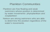Plankton Communities Plankton are free floating and weak swimmers whose position is determined by water movements- phytoplankton and zooplankton Nekton.