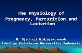 The Physiology of Pregnancy, Parturition and Lactation M. Djauhari Widjajakusumah Fakultas Kedokteran Universitas Indonesia The Physiology of Pregnancy,