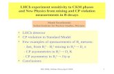 DIS 2004, Strbske Pleso,April 20041 LHCb experiment sensitivity to CKM phases and New Physics from mixing and CP violation measurements in B decays LHCb.