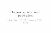 Amino acids and proteins Section 13.10 (pages 326-329)