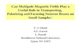 Can Multipole Magnetic Fields Play a Useful Role in Transporting, Polarizing and Focusing Neutron Beams on Small Samples? V. J. Ghosh A.U. Luccio L. Passell.