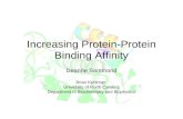 Increasing Protein-Protein Binding Affinity Deanne Sammond Brian Kuhlman University of North Carolina Department of Biochemistry and Biophysics.