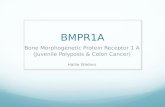 BMPR1A Bone Morphogenetic Protein Receptor 1 A (Juvenile Polyposis & Colon Cancer) Hallie Wieters.