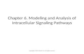 Chapter 6. Modeling and Analysis of Intracellular Signaling Pathways Copyright © 2014 Elsevier Inc. All rights reserved.
