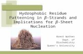 Hydrophobic Residue Patterning in β-Strands and Implications for β-Sheet Nucleation Brent Wathen Dept. of Biochemistry Queen’s University.
