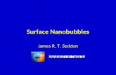 Surface Nanobubbles James R. T. Seddon. “Nanobubble” Height approx. 20-50nm Width approx. 50-200nm “Micropancake” Height approx. 1-2nm Width approx. 1-3μm.