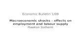 Economic Bulletin 1/09 Macroeconomic shocks – effects on employment and labour supply Haakon Solheim.