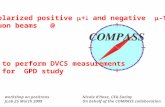 Polarized positive  +  and negative  -  muon beams @ to perform DVCS measurements for GPD study for GPD study Nicole d’Hose, CEA-Saclay On behalf of.