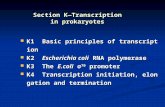 K1 Basic principles of transcription K1 Basic principles of transcription K2 Escherichia coli RNA polymerase K2 Escherichia coli RNA polymerase K3 The