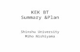 KEK BT Summary &Plan Shinshu University Miho Nishiyama.