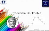 Teorema de Thales Macarena Fica Estudiante en práctica de Pedagogía en Matemática