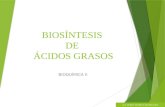 BIOSÍNTESIS DE ÁCIDOS GRASOS BIOQUÍMICA II Q.F. FREDY MARTOS RODRÍGUEZ.