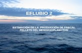 ESTIMACIÓN DE LA PRODUCCIÓN DE FAECAL PELLETS DEL MESOZOOPLANCTON EFLUBIO 2.