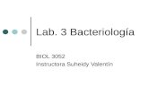 Lab. 3 Bacteriología BIOL 3052 Instructora Suheidy Valentín