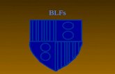 BLFs. FLB Nomenclatura Redes de BLFs Relaciones fundamentales B(t +Δt) = B(t) + D(t) - E(t) P(t + Δt) = P(t) + D(t) - O(t) IO(t + Δt)= IO(t) + O(t)