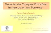 Departamento de Ingeniería Matemática y CMM, UMR 2071 CNRS-UChile Universidad de Chile 16 de Mayo de 2007 Carlos Conca Rosende Charlas en la Academia Chilena.
