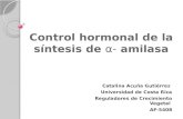 Control hormonal de la síntesis de α - amilasa Catalina Acuña Gutiérrez Universidad de Costa Rica Reguladores de Crecimiento Vegetal AF-5408.