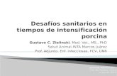 Gustavo C. Zielinski, Med. Vet., MS., PhD Salud Animal-INTA Marcos Juárez Prof. Adjunto. Enf. Infecciosas, FCV, UNR Jornada TodoCerdos, Villa del Rosario,