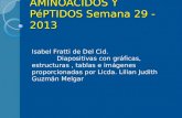AMINOACIDOS Y P©PTIDOS Semana 29 -2013 Isabel Fratti de Del Cid. Diapositivas con grficas, estructuras, tablas e imgenes proporcionadas por Licda. Lilian