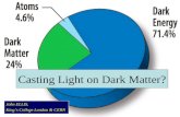Casting Light on Dark Matter?