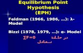 Equilibrium Point Hypothesis (EPH)