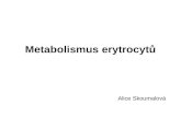 Metabolismus erytrocytů