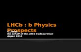 LHCb :  b  Physics Prospects