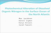 Photochemical Alteration of Dissolved Organic Nitrogen in the Surface Ocean of the North Atlantic
