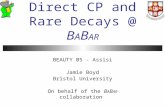 Direct CP and Rare Decays @  B A B AR