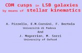 CDM cusps  in  LSB galaxies  by means of  stellar kinematics