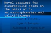 Novel carriers for dicarboxilic acids on the basis of α-aminophosphonates and calix[4]arenes