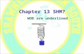 Chapter 13 SHM?