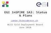 EGI InSPIRE SA3: Status & Plans