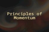 Principles of Momentum