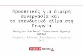 Προοπτικές για διμερή συνεργασία και  το επενδυτικό κλίμα στη Γεωργία