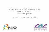 Interactions of hadrons in the  SiW  ECAL Towards paper