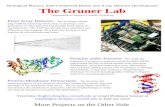 Biological Physics, Soft-Condensed Matter and X-ray Detector Development The Gruner Lab
