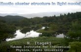 N. Itagaki  Yukawa Institute for Theoretical Physics, Kyoto University