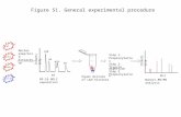 Figure S1. General experimental procedure
