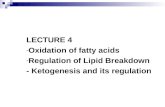 LECTURE 4  Oxidation of fatty acids Regulation of Lipid Breakdown - Ketogenesis and its regulation